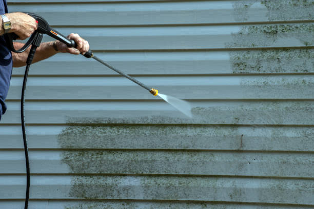 Professional Pressure Washing Services in Dansville, NY